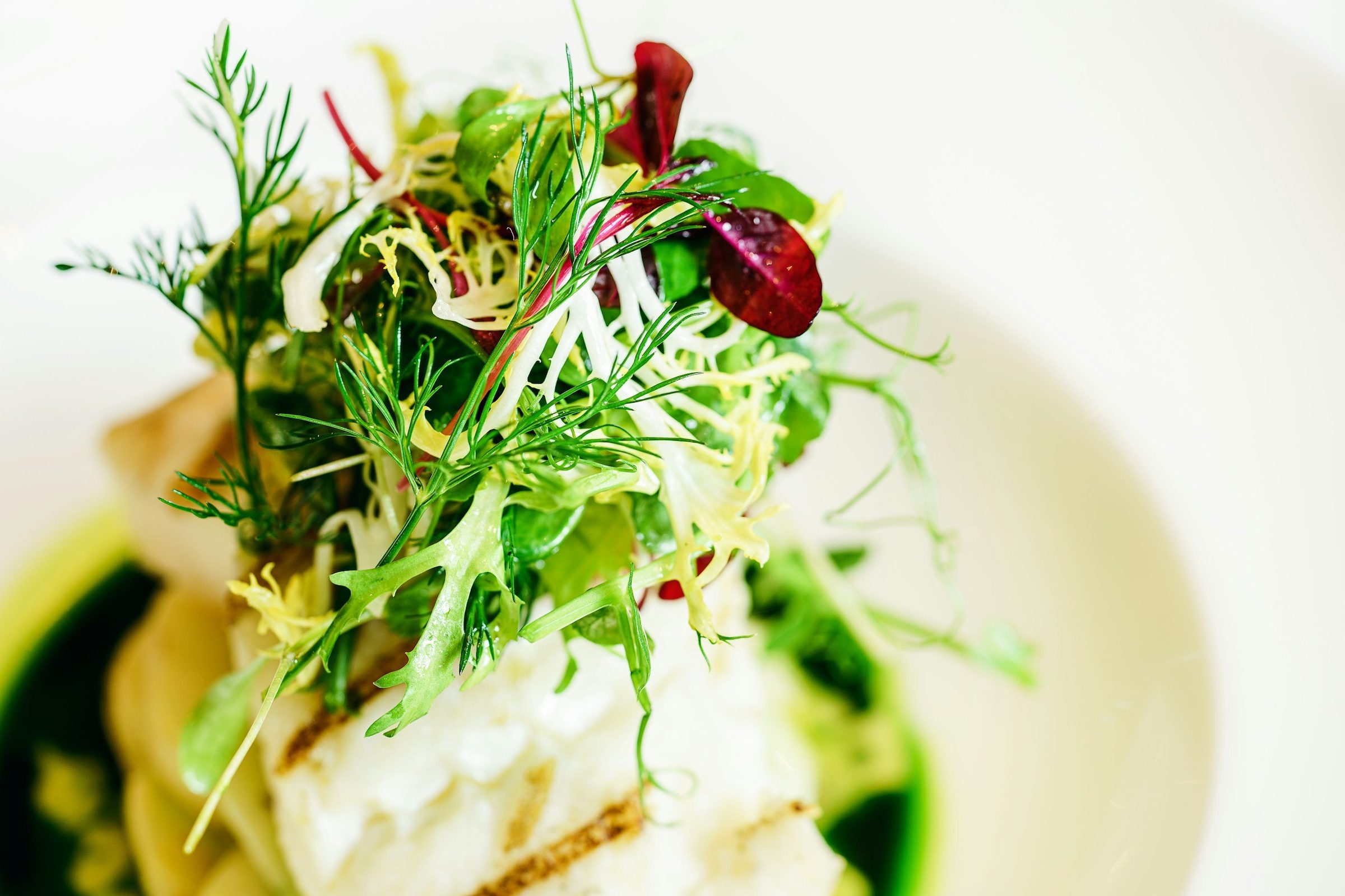 A seared white fish fillet under a tall nest of dill, frisee and micro leaves on a green sauce.